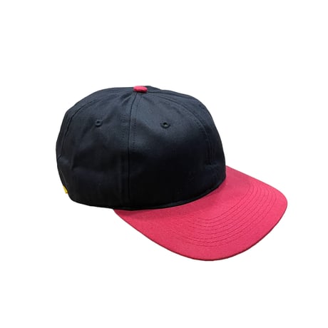 NEW AGE INC 2tone Cap