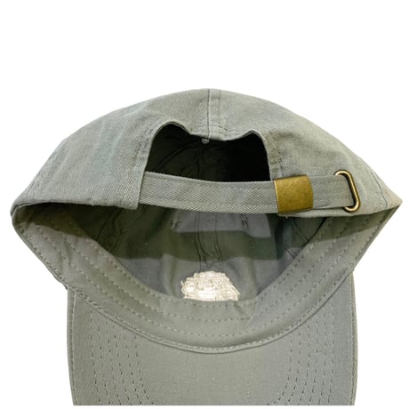 NEW WELLS FARGO CAP
