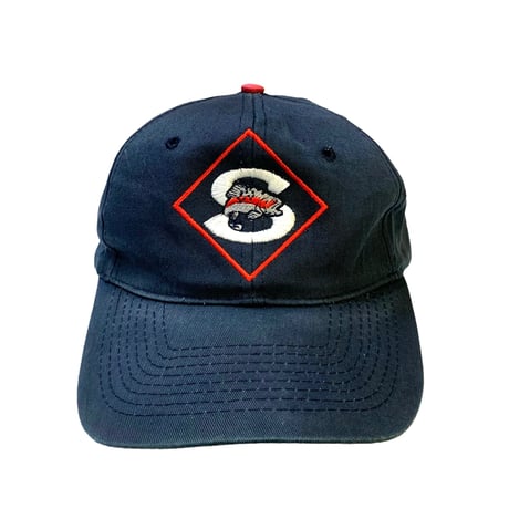 90's SEATTLE STEELHEADS SNAPBACK CAP