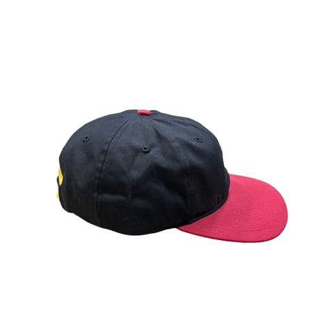 NEW AGE INC 2tone Cap