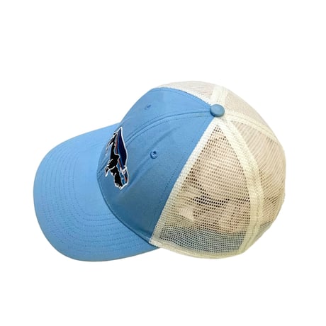 Patagonia Mesh Cap