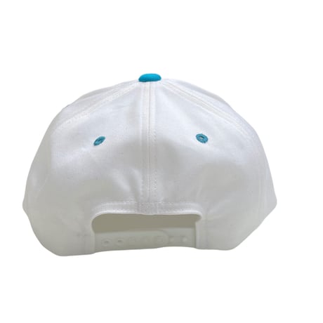 New Unknow 2Ton Cap