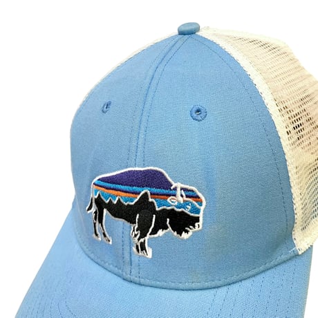 Patagonia Mesh Cap