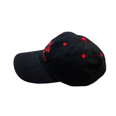 NEW MEXICO CAP