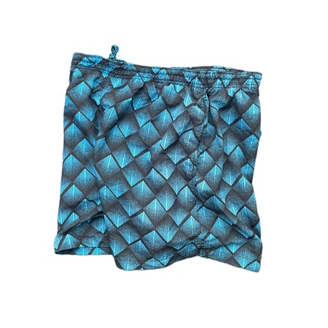 BASIC Shorts Size-L 水陸両用