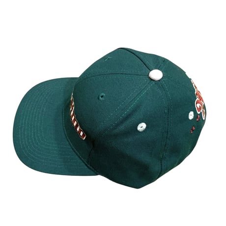 MOSSIMO CAP・MINT CONDITION