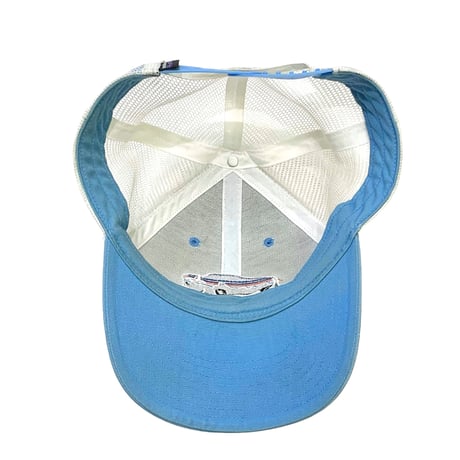 Patagonia Mesh Cap