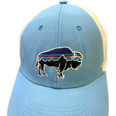 Patagonia Mesh Cap