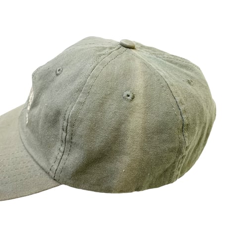 NEW WELLS FARGO CAP