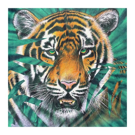 🐅Tiger Tie-Dye T-shirt Size-XL MADE IN CANADA