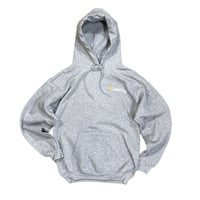 Solar City Hoodie Size-S Condition-mint