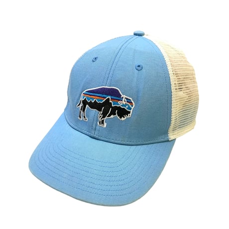 Patagonia Mesh Cap