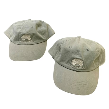 NEW WELLS FARGO CAP