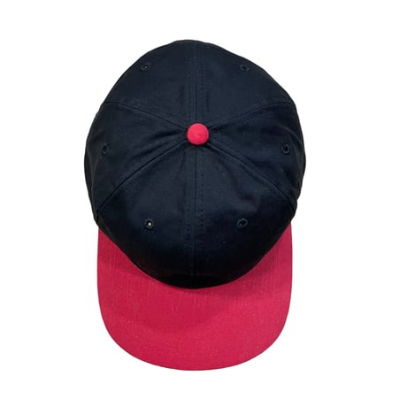NEW AGE INC 2tone Cap