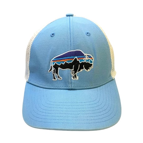 Patagonia Mesh Cap