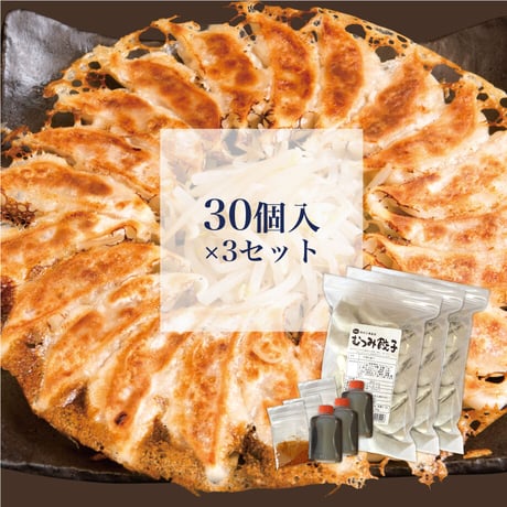 むつみ餃子【冷凍】30個入×3セット