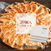 むつみ餃子【冷凍】 20個入×3セット