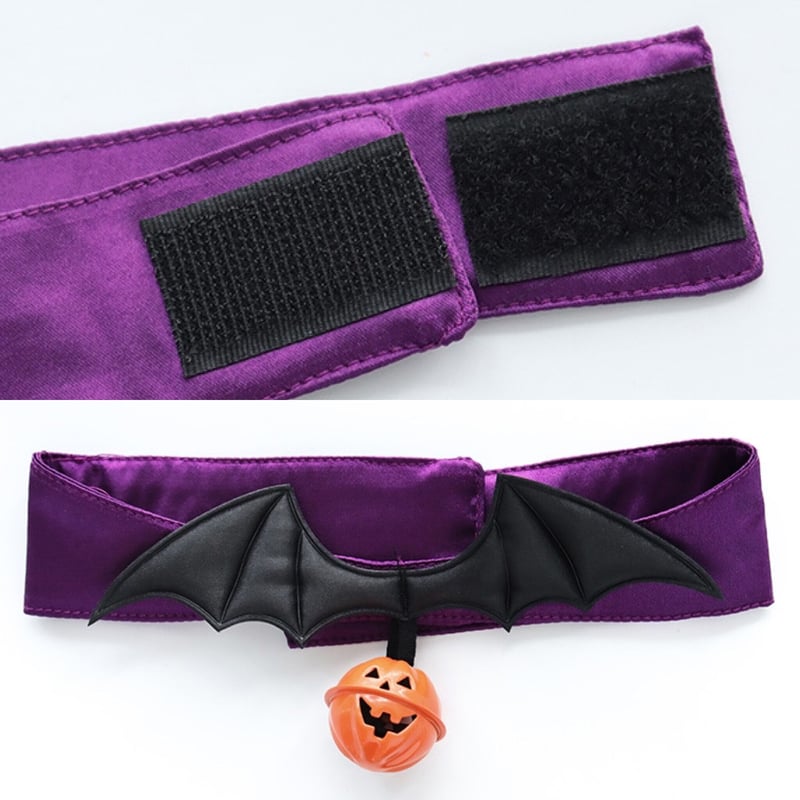 在庫限りで販売終了】ハロウィンかぼちゃパンツビキニ | はれあめ