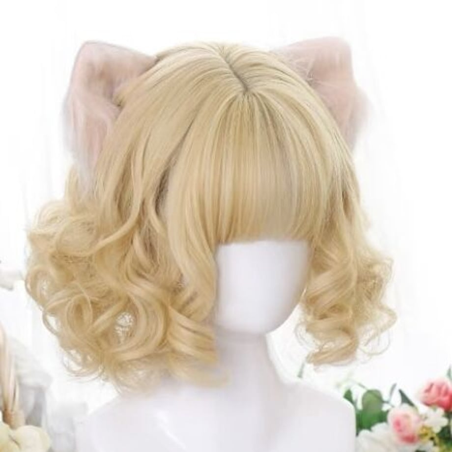 6300d2ad2fc88170420f461c