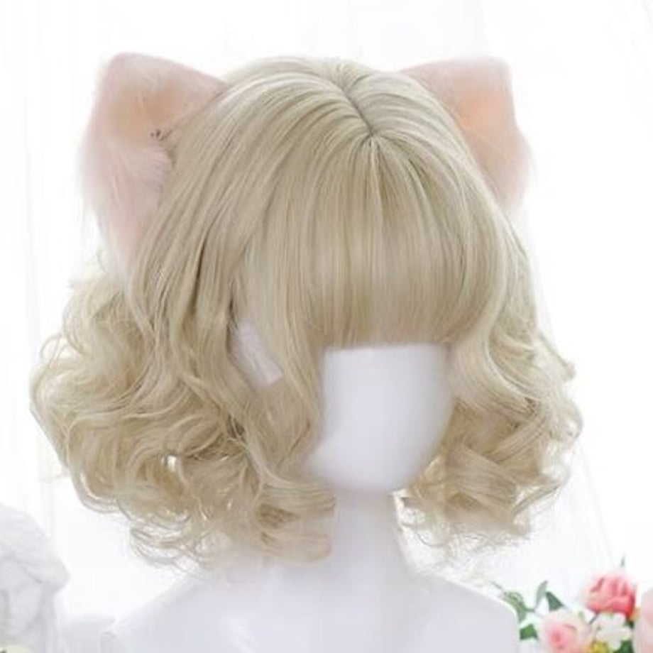 6300d2ad2fc88170420f461c