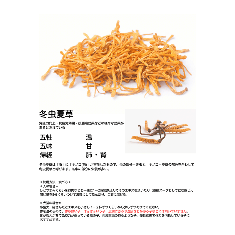 冬虫夏草／30g【3個以上ご購入の方はこちら】 | オムニア自然療法