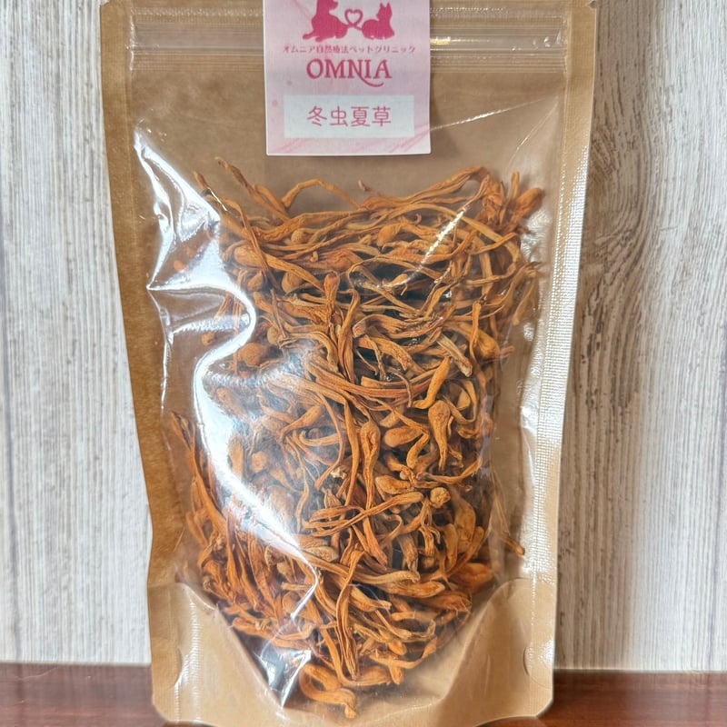 冬虫夏草／30g【3個以上ご購入の方はこちら】 | オムニア自然療法