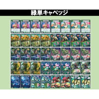 ◆DMデッキ販売 　「緑単キャベッジ」