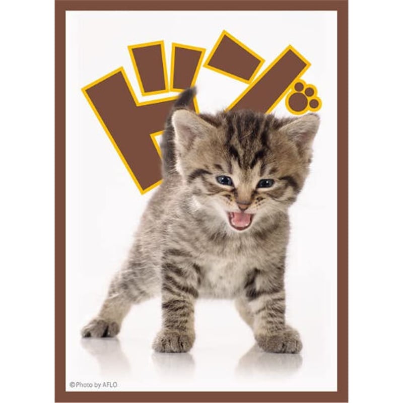 BR-319】ブロッコリーキャラクタースリーブ「子猫」リバイバル | Duel