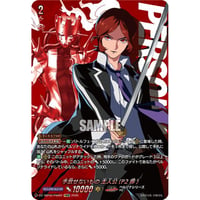 DZ-TBP02/PS02 手放せないもの 主人公(P2罪)【PSRRR】