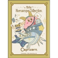 ヴィクトリースパークTCG ブースターパック 「.hack//Link」 初回生産