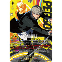 DZ-TBP02/PS11 真実を追う者 主人公(P4)【PSRRR】