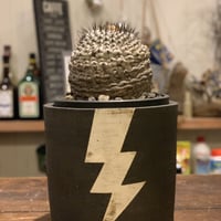kopiapoa