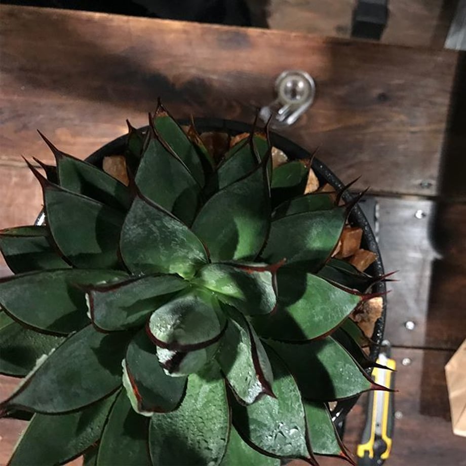 5aac0958ef843f2c440008ab
