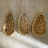 種水土花 ドロップトレイ