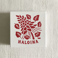 HALOINAハロイナ ピアス＆イヤリング