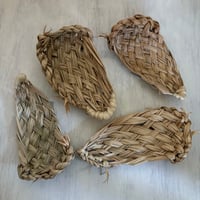 種水土花 ストレチアトレイ