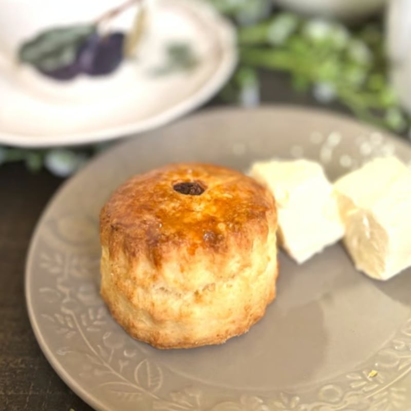 チーズインザトラップ　サイン　レア　韓国　スンキ　soonkki チーズインザトラップ サイン レア 韓国 スンキ soonkki