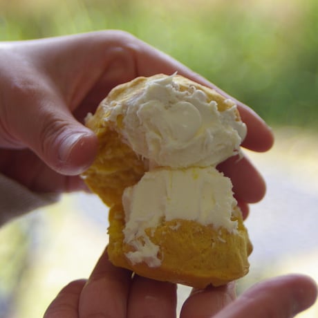 【クリーム】Rodda’s Cornish Clottad Cream 28g