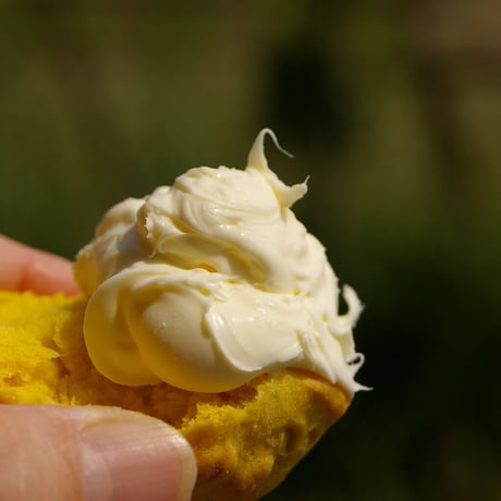 【クリーム】Rodda’s Cornish Clottad Cream 28g
