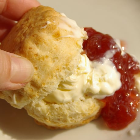 【クリーム】Rodda’s Cornish Clottad Cream 28g