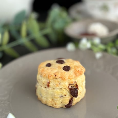 【スコーン】チョコチップスコーン