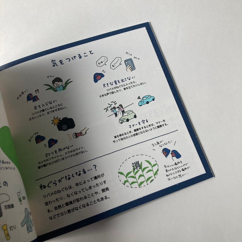 しまむらさき ZINE「つばめのねぐら探訪」 | もりのこと onlineshop