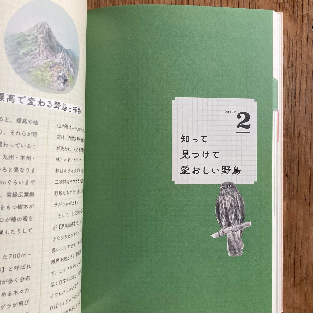 ココロさえずる野鳥ノート』 | もりのこと onlineshop