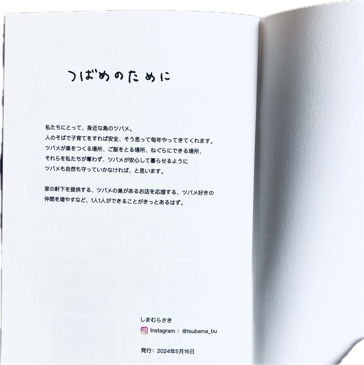 しまむらさき ZINE「つばめめぐり2」 | もりのこと onlineshop