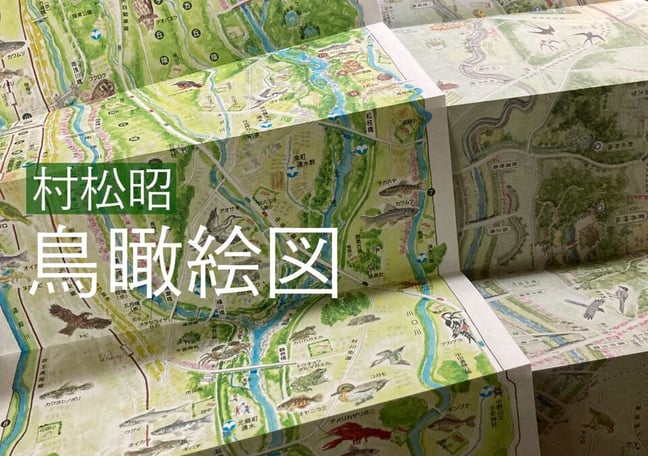 もりのこと onlineshop