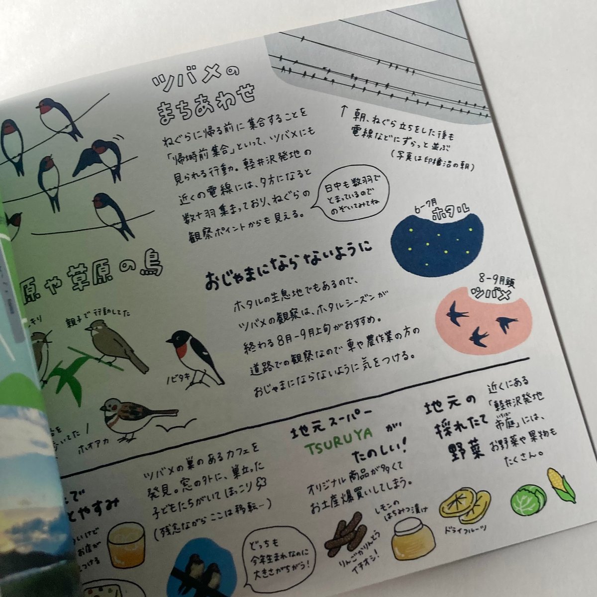 しまむらさき ZINE「つばめのねぐら探訪」 | もりのこと onlineshop