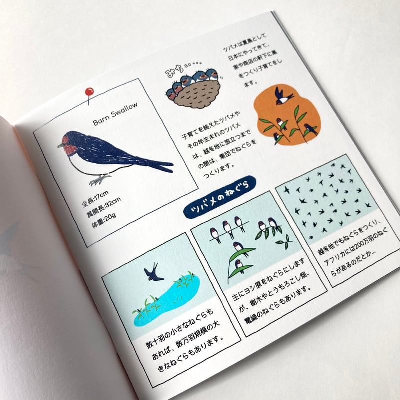 つばめさんページ しまむらさき ZINE「つばめのねぐら探訪」 | もりのこと onlineshop