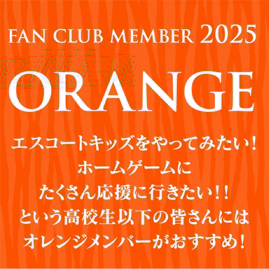 671a6b6ce99ff912e430c9c6