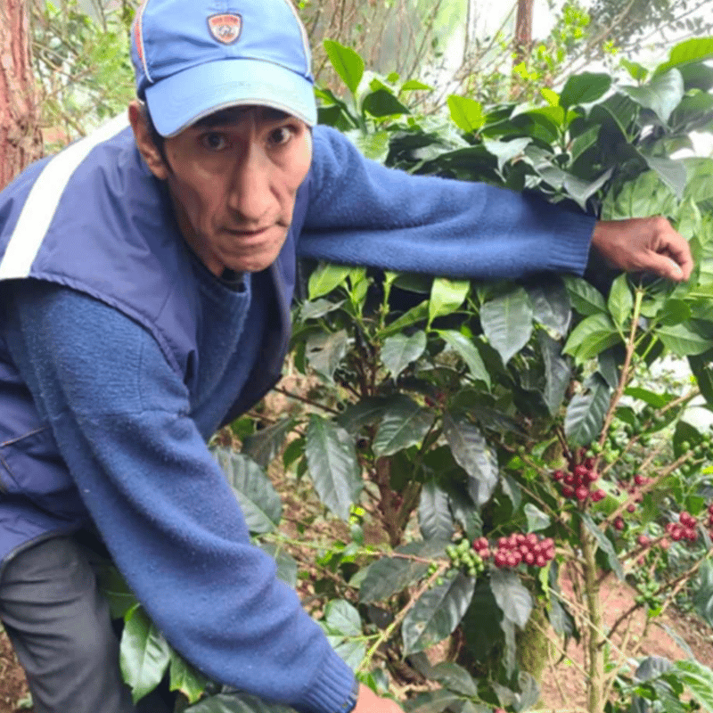 200g ペルー アルト・ミラドール農園【RED LABEL】 | Cafe de UN Da