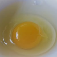 おーはし農園の平飼いたまご　20個